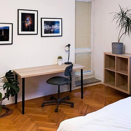 Rodinny Byt Pro 4 Na Brno-Stred Buitenkant foto
