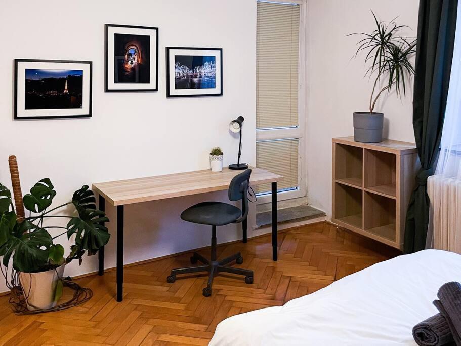 Rodinny Byt Pro 4 Na Brno-Stred Buitenkant foto